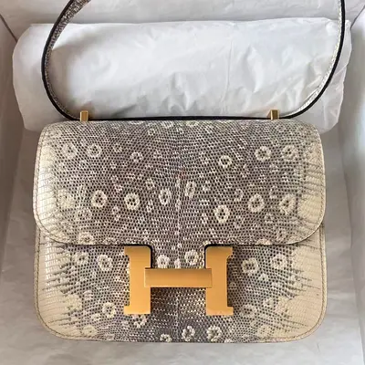 Hermes Constance 18 Bag In Natural Lizard Skin