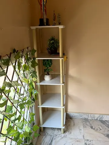 Display cabinet