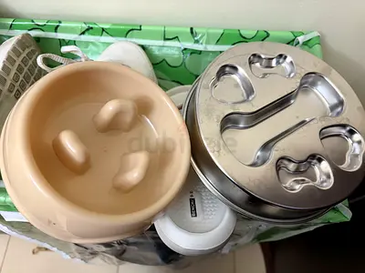 Dog bowl