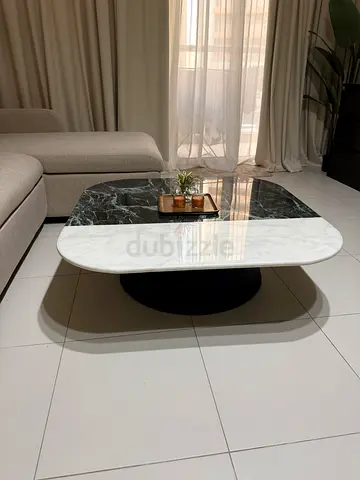 Modern Oval Marble Coffee Table with Black Base