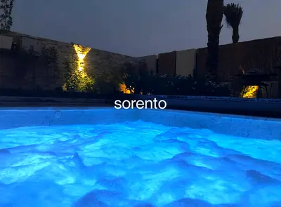 EXCLUSIVE|HOT TUB IN GARDEN|RARE 1 OF 1|