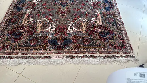 Used Persian-style area rug with fringed edges - good condition