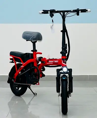RohaN Wings KQ-02 Folding Electric Bike.