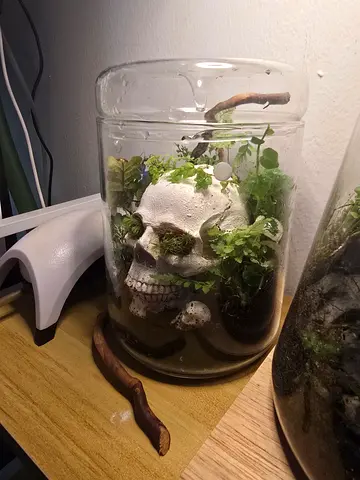 Terrariums