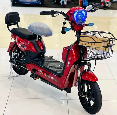 JY-14 Rohan Wings Electric Delivery Bike for Grocery Stores & Restaurants | 14 Inches Tires