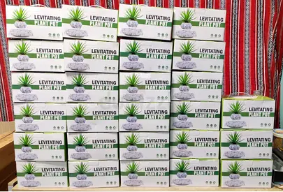 Levitating Magnetic Plant Pots — New in Boxes (Bulk)