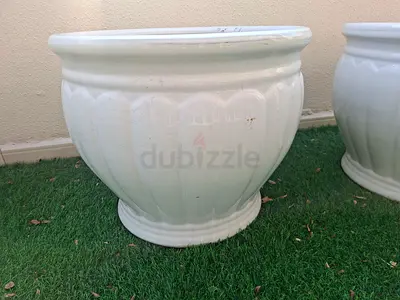Plant Pot