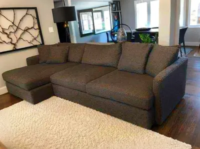 Crate&Barrel feather filled L Shape Sofa