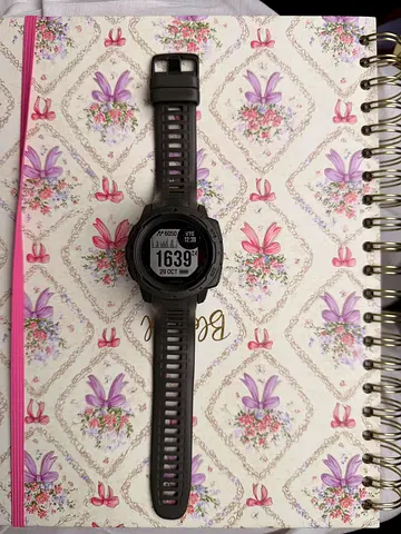 Garmin Instinct