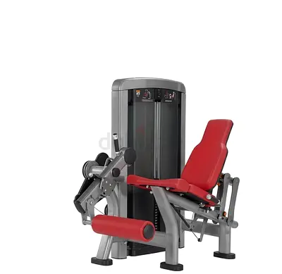 Commercial Leg Extension / Leg Curl Machine - Good Condition