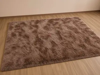 Soft Brown Shaggy Carpet, Cozy and Modern