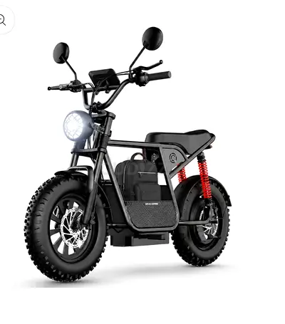 Electric Bike / D1 /  Wind Horse/ Brand New