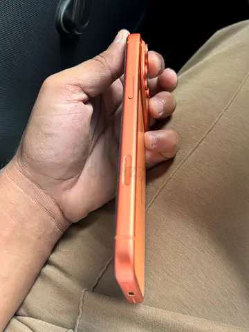 17 pro max 256