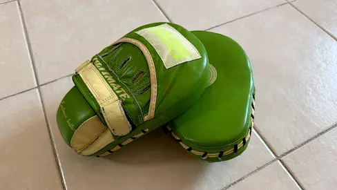 Boxing pads Dragon