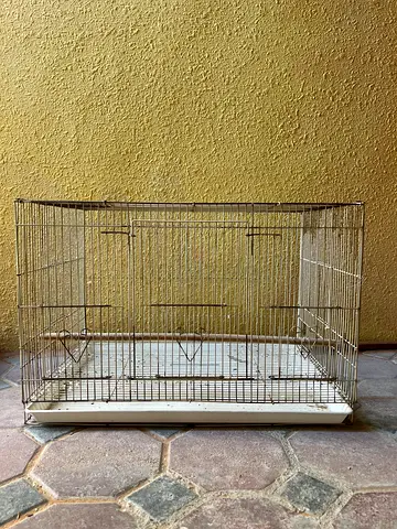 Bird Cage