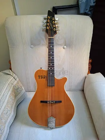 Godin A8 Electric mandolin