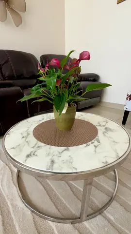Round Original Marble with Stainless Steel Frame Coffee Table - good condition