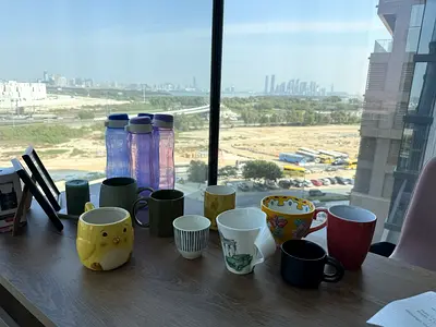 Mug Set (10 mugs) + 3 Water Bottles