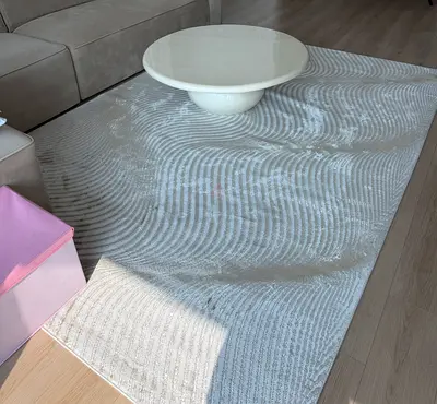 Brand new rug 200x290