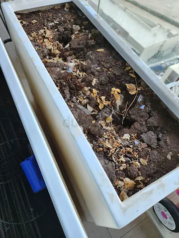 Free potting mix free garden free plants soil free free