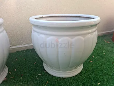 Plant Pot