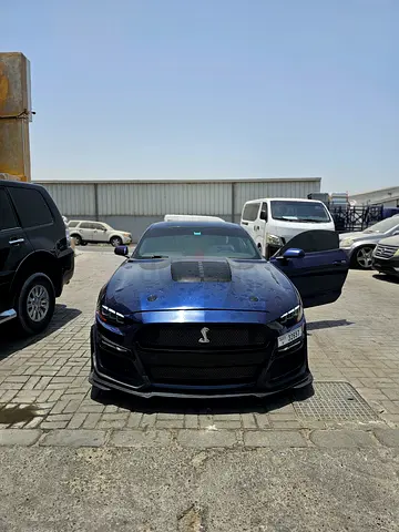 Mustang Shelby body kit with headlights