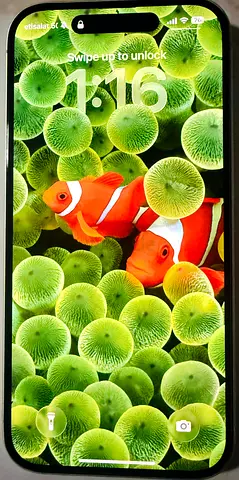 Iphone 16 - UAE SPECIFICATIONS