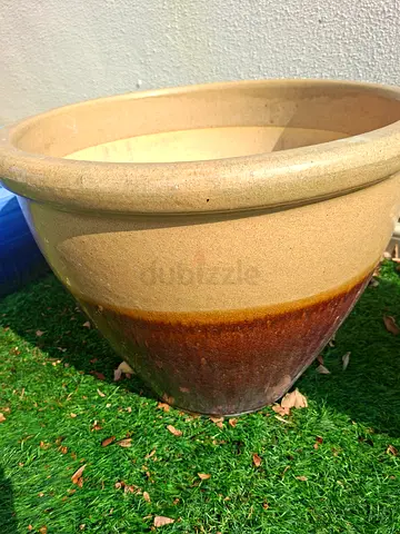 Plant Pot