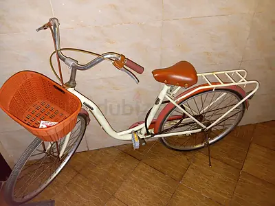 Japanese cycle