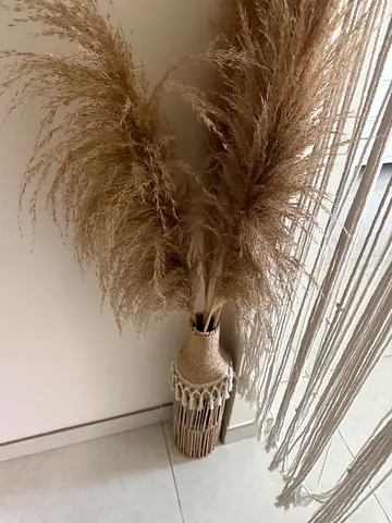Dried pampas grass arrangement in woven vase