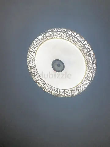 Fan with lights