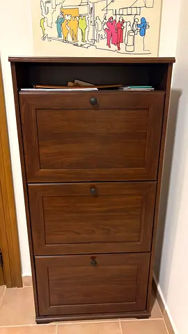 BRUSALI IKEA Shoe Cabinet With 3 Compartments,