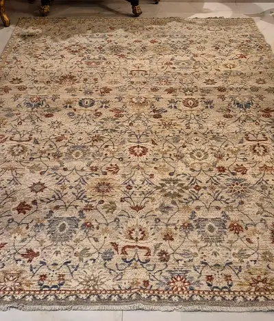 Light Beige Traditional Pattern Area Rug - Great Condition