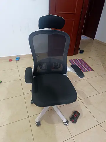 Ergonomic Mesh Office Chair with Headrest - Black