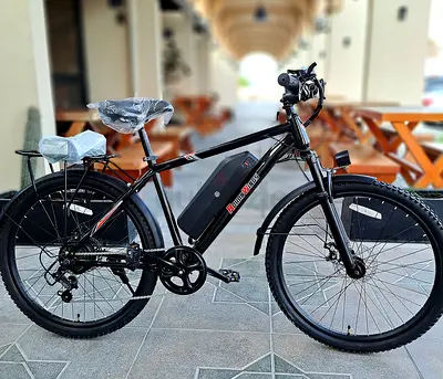 Rohan Wings E bike 36v