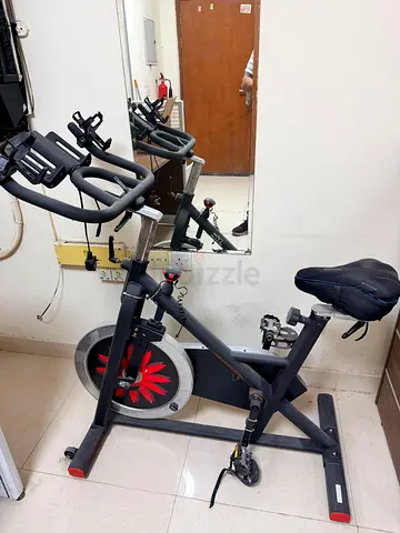 Indoor Spin Exercise Bike - Compact Stationary Bike in Good Condition