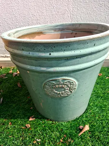 Plant Pot