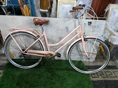 Reid ladies bike 28 size