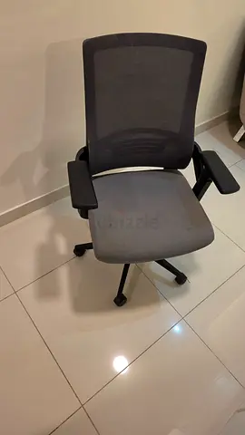Ergonomic Office Chair with Mesh Back and Adjustable Arms