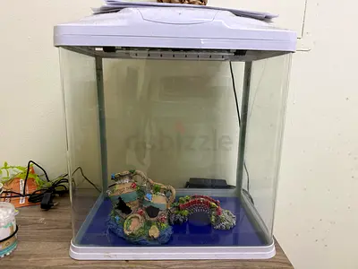 Fish tank