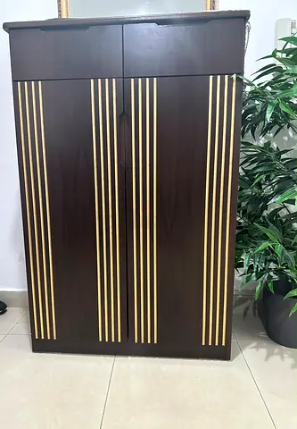 Dark Wood 2-Door Wardrobe with Gold Stripe Detail for shoes