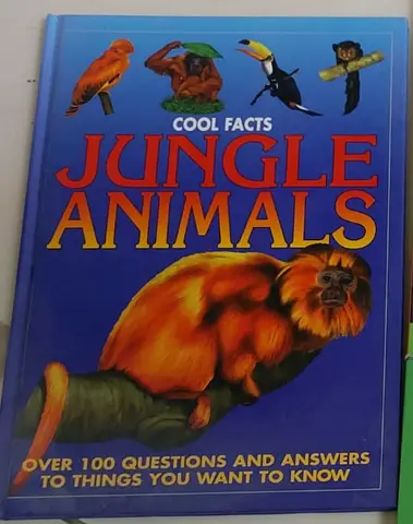 Children's Science and Astronomy Books