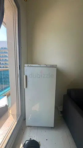 Freezer
