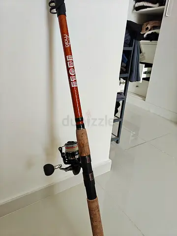 Fishing rod + reel