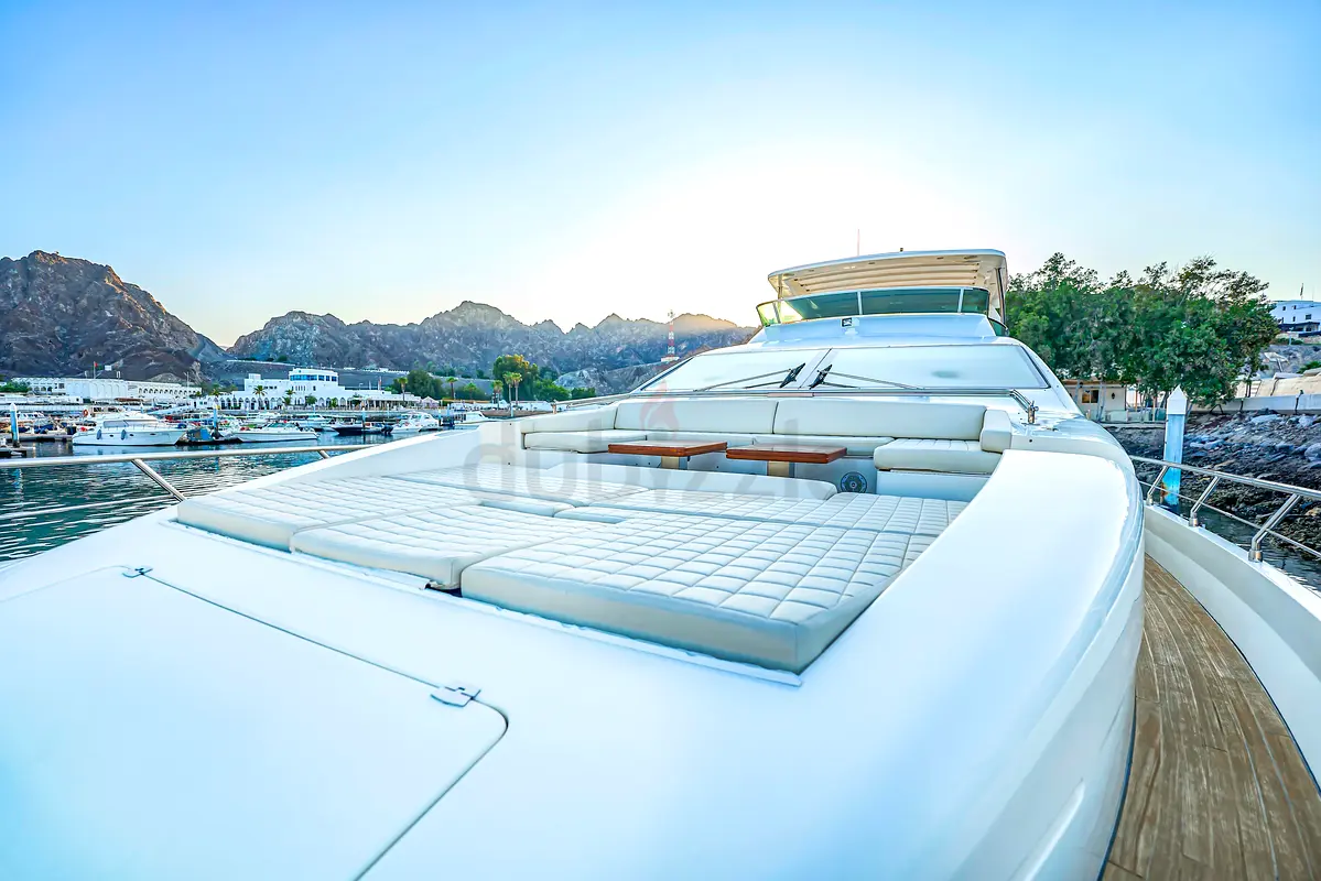 DPV_View_Image_6
