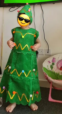 Handmade Child's Christmas Tree Costume - Green Festive Dress & Hat