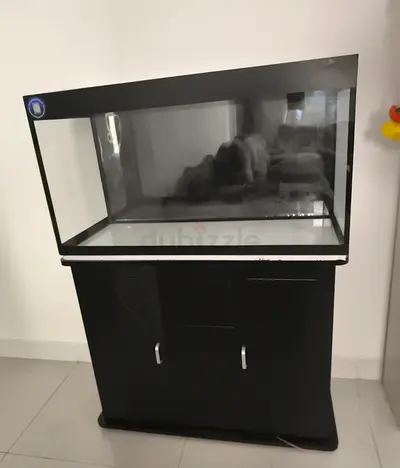 Large Glass Aquarium Fish Tank with Black Wooden Cabinet Stand and all accessories