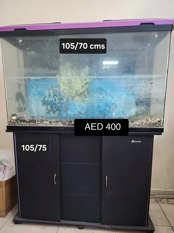 Large Fish Aquarium Tank with Cabinet Stand - 105 x 70 cm (AED 400)