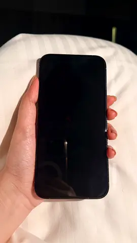 iPhone 13pro max