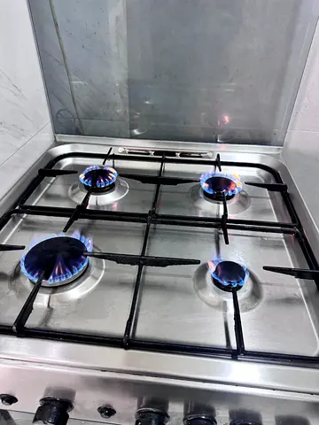 Burner gas stove